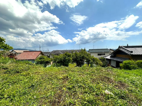現地写真